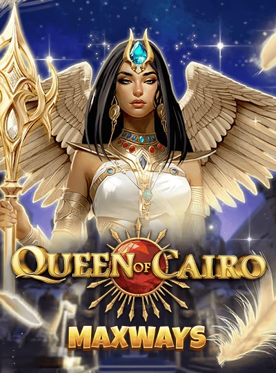 zq88 zq88